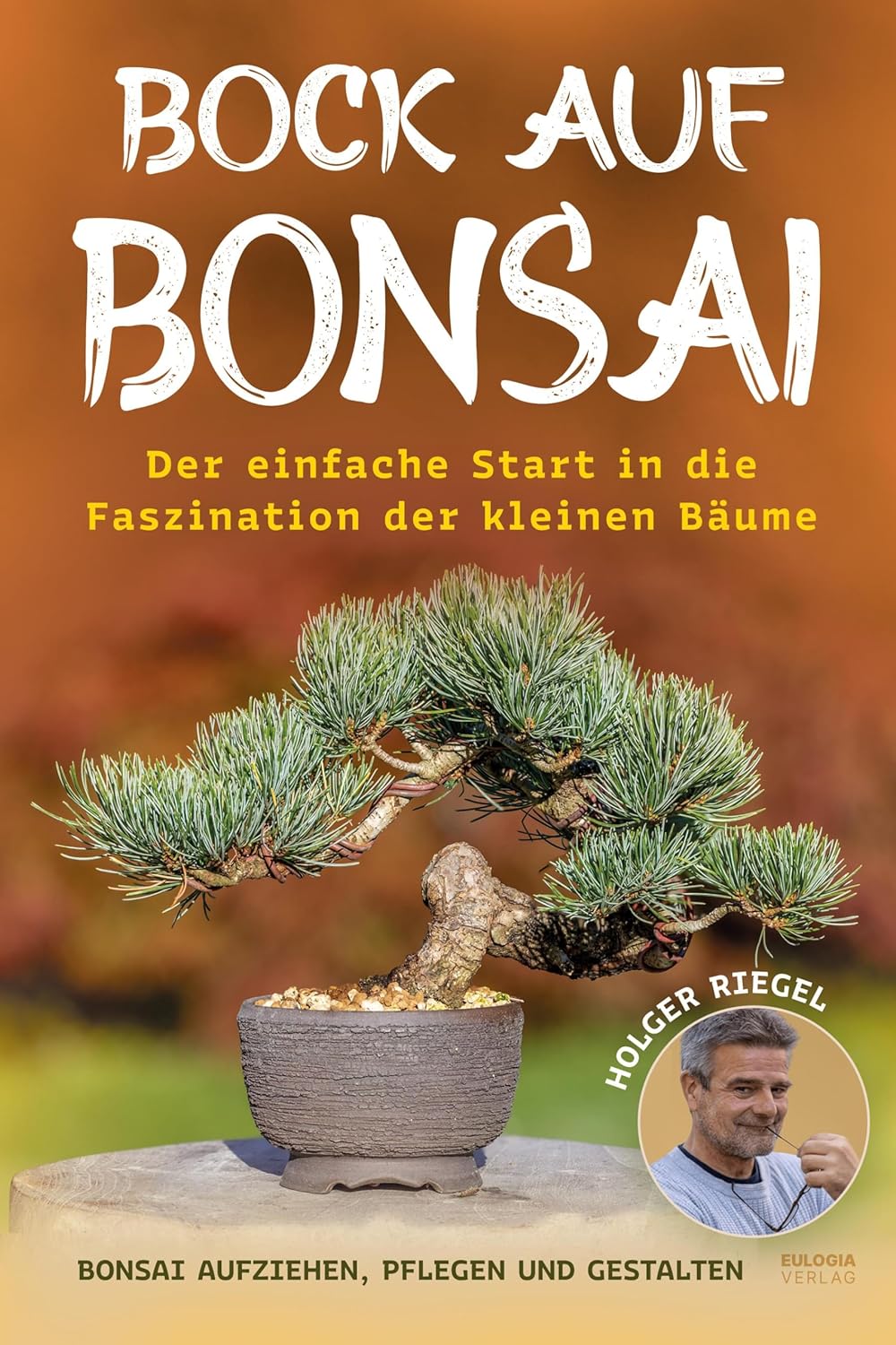 Bock auf Bonsai: Der einfache Start in die Faszination der kleinen Bäume